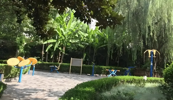 深圳学历技能入户_黄奕女儿不读书想去韩国当练习生，颜值是硬伤 黄奕女儿的用为了户吸引一般